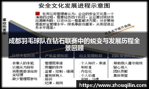 成都羽毛球队在钻石联赛中的蜕变与发展历程全景回顾